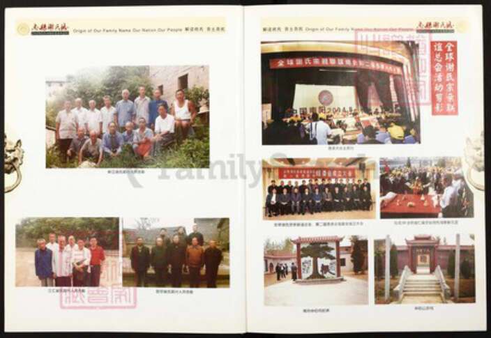 重庆市忠县四川省万州忠县重庆市忠县谢；谢氏宝树堂族谱-忠县谢氏志.pdf电子版预览图5