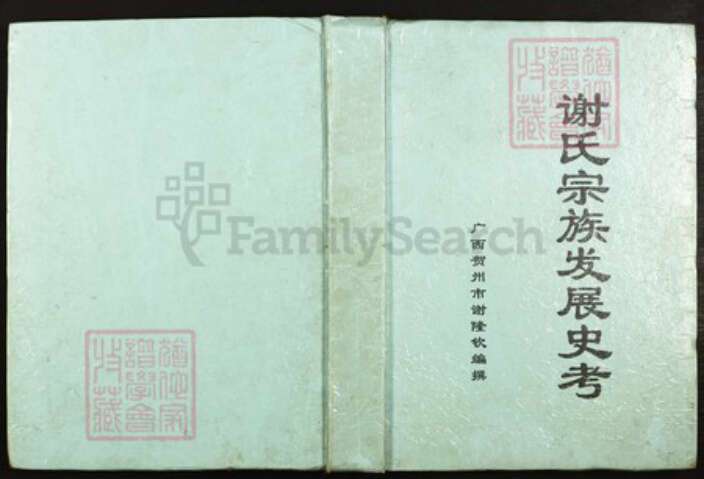 广西壮族自治区贺州谢；谢氏江左堂族谱-谢氏宗族发展史考.pdf电子版缩略图