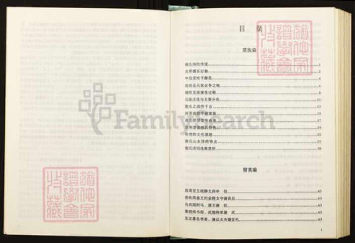 广西壮族自治区贺州谢；谢氏江左堂族谱-谢氏宗族发展史考.pdf电子版预览图4