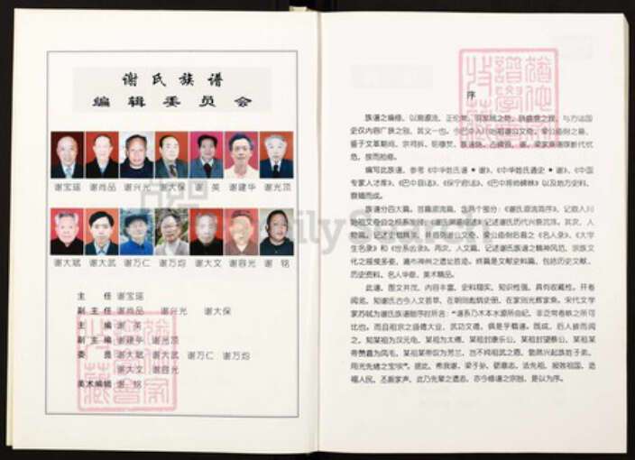 四川省绵阳市四川省巴中市恩阳区渔溪镇谢；谢氏宝树堂族谱-谢氏族谱.pdf电子版预览图3