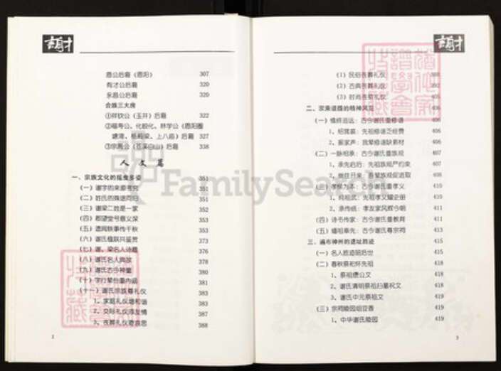 四川省绵阳市四川省巴中市恩阳区渔溪镇谢；谢氏宝树堂族谱-谢氏族谱.pdf电子版预览图5