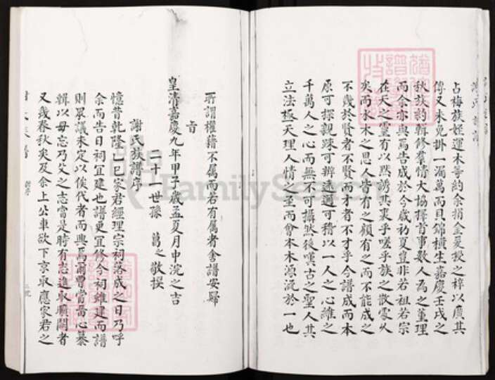 湖南省邵阳市江苏省南京市秦淮区谢氏族谱-谢氏族谱.pdf电子版预览图5