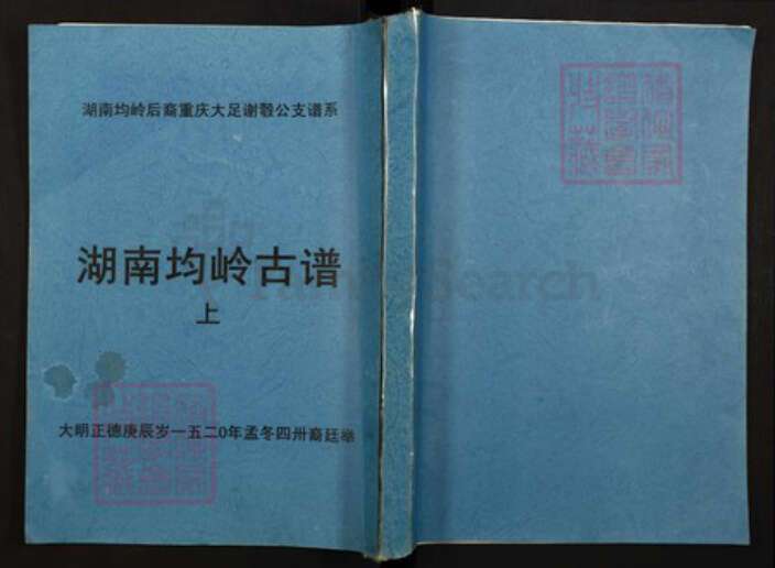 湖南省郴州市宜章县赤石乡谢氏族谱-湖南均岭后裔重庆大足谢彀公支谱系湖南均岭古谱.pdf电子版缩略图