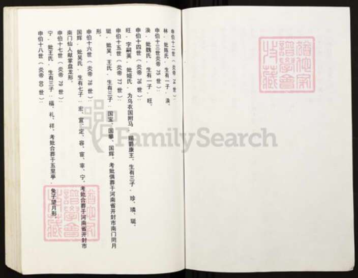 湖南省郴州市宜章县赤石乡谢氏族谱-湖南均岭后裔重庆大足谢彀公支谱系湖南均岭古谱.pdf电子版预览图3