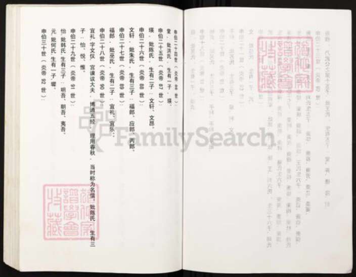 湖南省郴州市宜章县赤石乡谢氏族谱-湖南均岭后裔重庆大足谢彀公支谱系湖南均岭古谱.pdf电子版预览图5