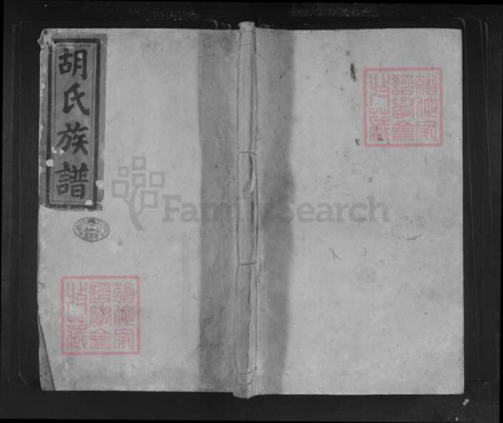 湖南省怀化市溆浦县湖南省邵阳市邵东胡氏苏湖堂族谱-胡氏族谱.pdf电子版缩略图