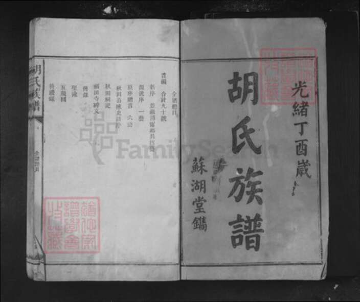 湖南省怀化市溆浦县湖南省邵阳市邵东胡氏苏湖堂族谱-胡氏族谱.pdf电子版预览图1