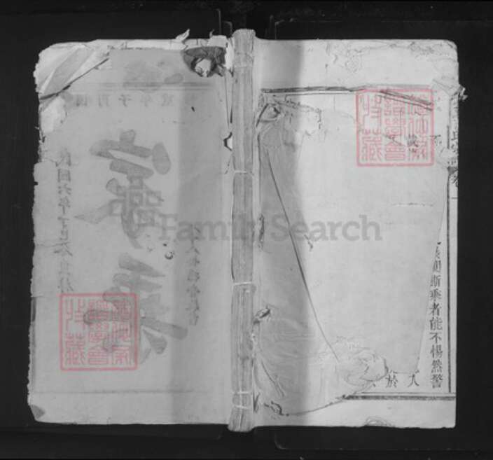 江西省景德镇市乐平市后港镇石氏族谱-武威石氏宗谱.pdf电子版缩略图