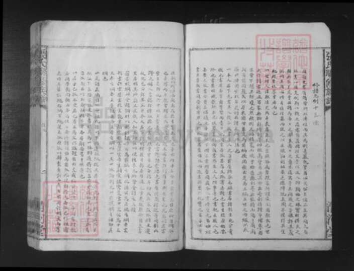 广东省梅州市张氏清河堂族谱-张氏联修族谱.pdf电子版预览图5