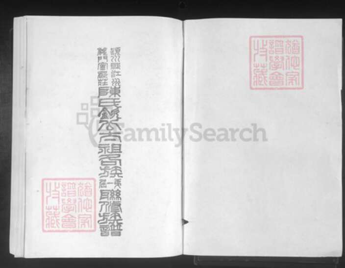 江西省赣州市宁都县陈氏孝思堂族谱-颍川陈氏江州义门宁都庄钦公太祖位下各族第一届联修族谱.pdf电子版预览图1