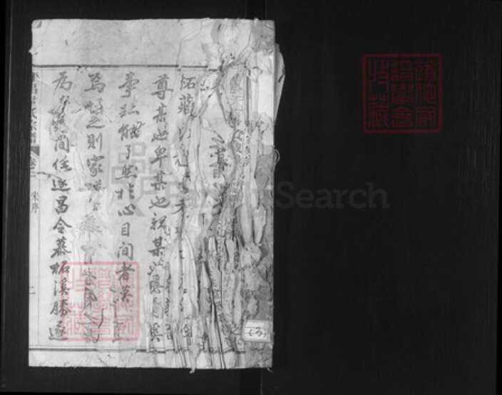 浙江省丽水市遂昌县大柘尹氏族谱-平昌尹氏宗谱.pdf电子版预览图1