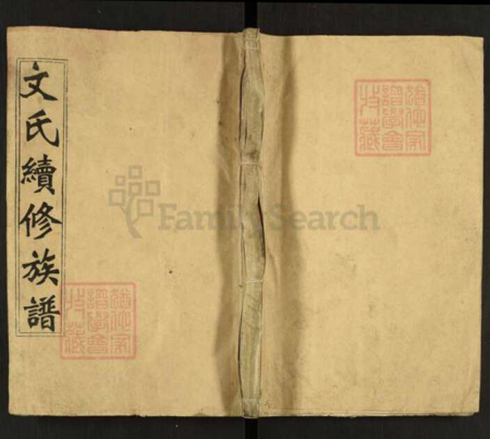 湖南省邵阳市隆回县桃洪文氏六义堂族谱-文氏续修族谱.pdf电子版缩略图