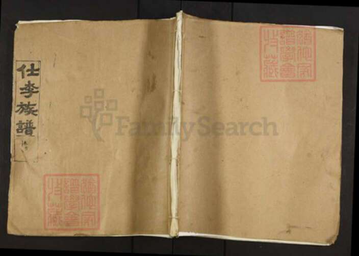 湖北省孝感市孝南区闵集乡李氏族谱-仕李族谱.pdf电子版缩略图