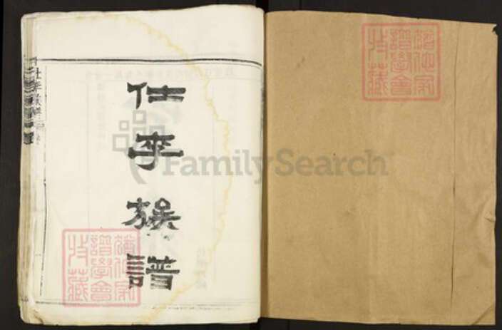 湖北省孝感市孝南区闵集乡李氏族谱-仕李族谱.pdf电子版预览图1