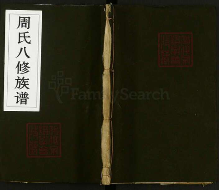 湖南省益阳市周氏族谱-周氏八修族谱.pdf电子版缩略图