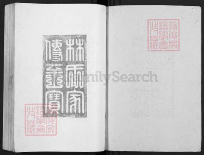 江西省赣州市于都县罗江乡林氏济南堂族谱-雩林五次迭修族谱.pdf电子版预览图1