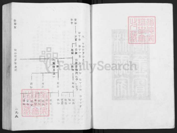 江西省赣州市于都县罗江乡林氏济南堂族谱-雩林五次迭修族谱.pdf电子版预览图2