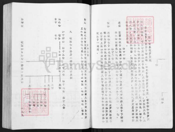 江西省赣州市于都县罗江乡林氏济南堂族谱-雩林五次迭修族谱.pdf电子版预览图3