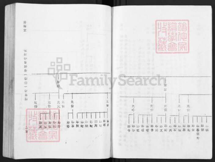 江西省赣州市于都县罗江乡林氏济南堂族谱-雩林五次迭修族谱.pdf电子版预览图4
