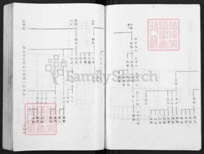 江西省赣州市于都县罗江乡林氏济南堂族谱-雩林五次迭修族谱.pdf电子版预览图5
