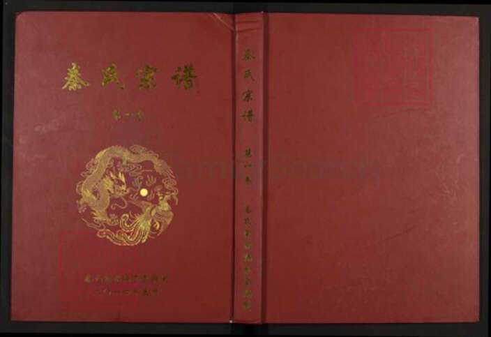 湖北省黄冈市团风县团风镇秦氏继述堂族谱-秦氏宗谱.pdf电子版缩略图