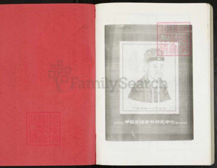 安徽省亳州市蒙城县安徽省亳州市蒙城县坛城镇丁氏亦政堂族谱-蒙城丁氏宗谱.pdf电子版预览图1