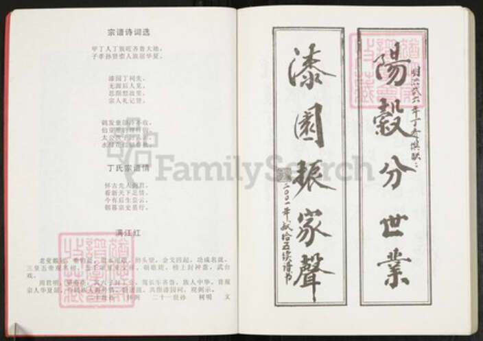 安徽省亳州市蒙城县安徽省亳州市蒙城县坛城镇丁氏亦政堂族谱-蒙城丁氏宗谱.pdf电子版预览图2