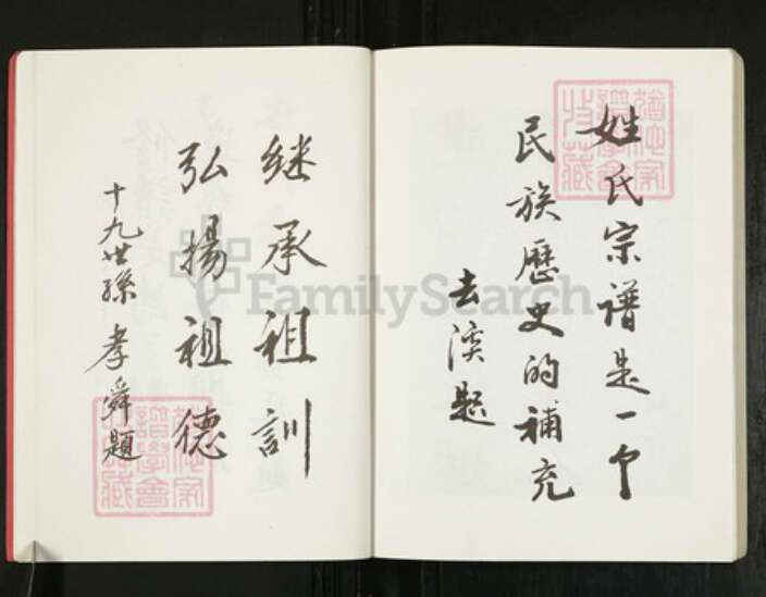 安徽省亳州市蒙城县安徽省亳州市蒙城县坛城镇丁氏亦政堂族谱-蒙城丁氏宗谱.pdf电子版预览图5