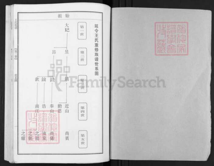 江苏省泰州市泰兴市王氏族谱-延令王氏重修族谱.pdf电子版预览图1