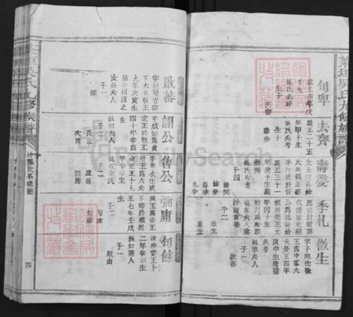 江苏省常州市吴氏族谱-茶垣吴氏九修族谱.pdf电子版预览图3