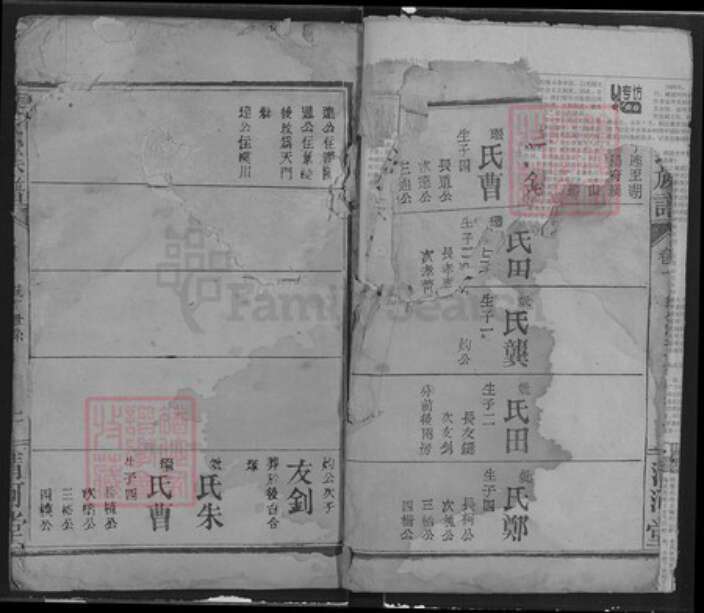 湖北省武汉市汉阳区张氏清河堂族谱-张氏族谱.pdf电子版预览图1