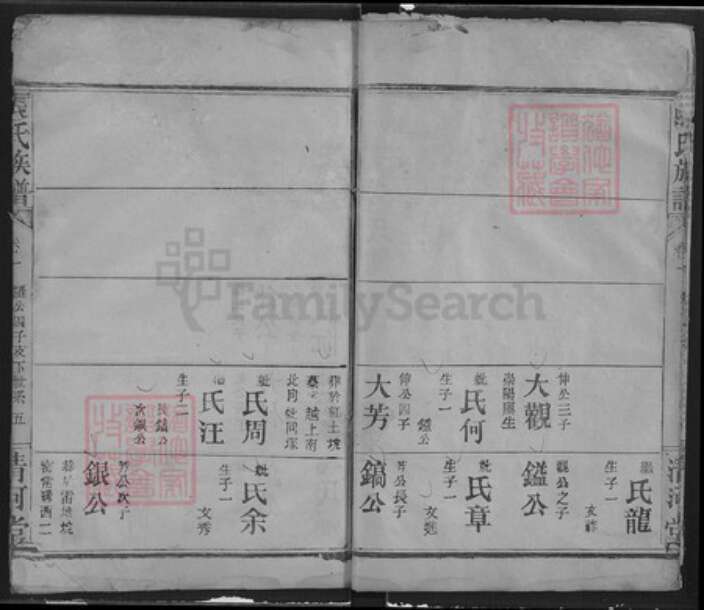 湖北省武汉市汉阳区张氏清河堂族谱-张氏族谱.pdf电子版预览图4