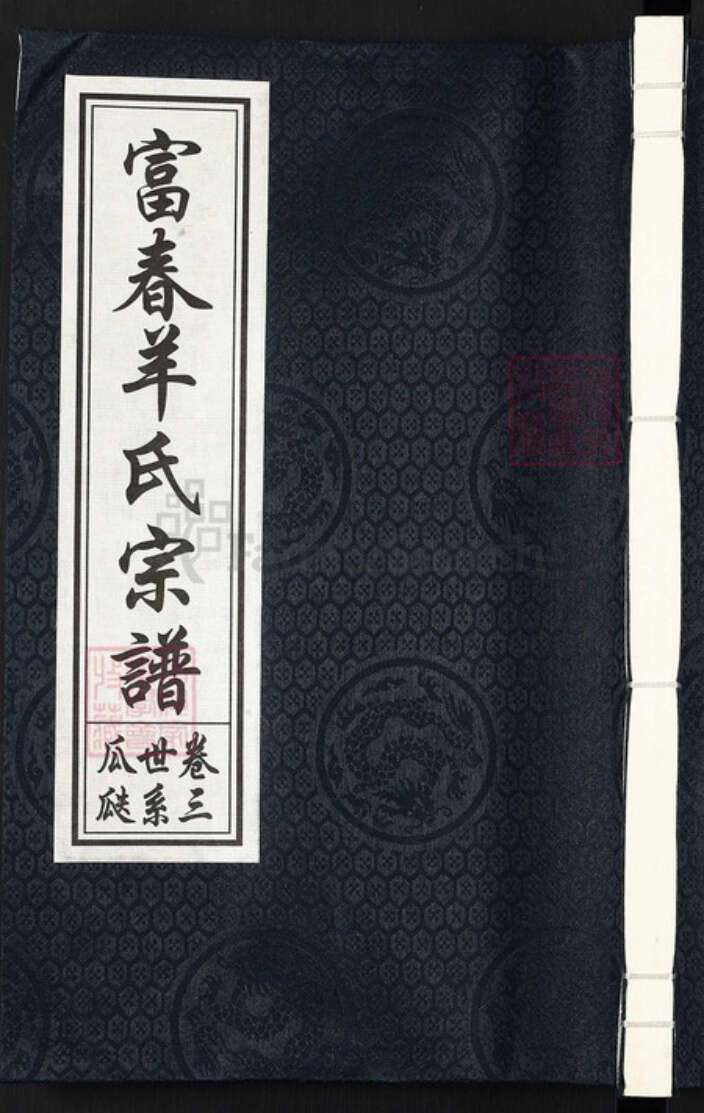 浙江省杭州市富阳羊氏积善堂族谱-富春羊氏宗谱.pdf电子版缩略图