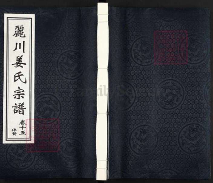 浙江省衢州江山市姜氏族谱-须江丽川姜氏宗谱.pdf电子版缩略图