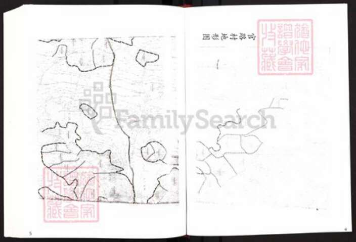 福建省福州市福清市三山镇王氏中山堂族谱-王氏族谱.pdf电子版预览图5