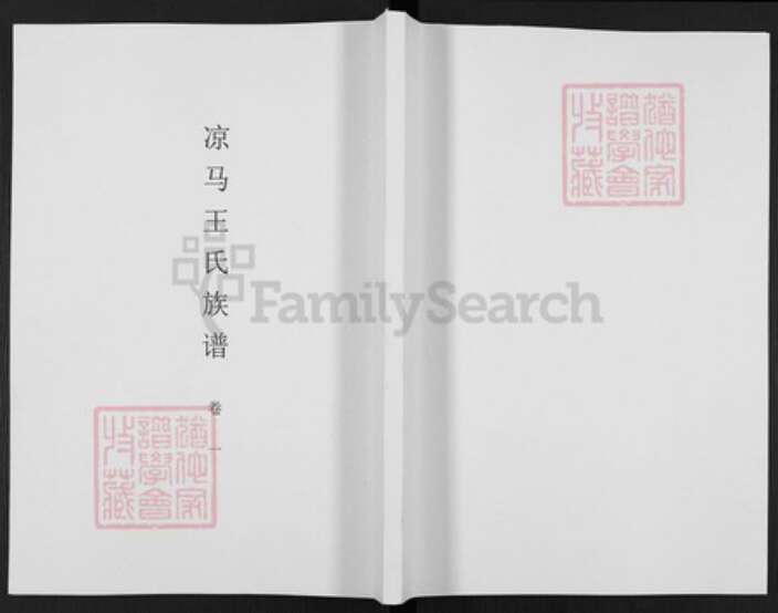 陕西省咸阳市醴泉县礼泉王氏族谱-凉马王氏族谱.pdf电子版缩略图