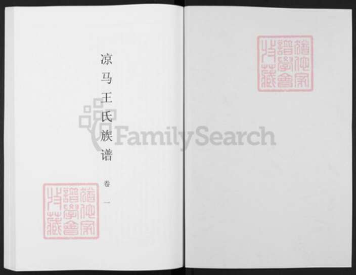 陕西省咸阳市醴泉县礼泉王氏族谱-凉马王氏族谱.pdf电子版预览图1