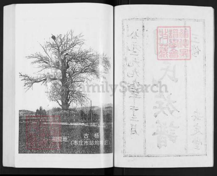 山东省枣庄市薛城区山东省枣庄市胡氏安定堂族谱-枣庄市胡氏族谱.pdf电子版预览图2