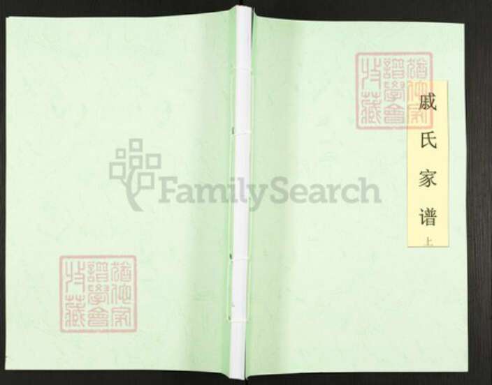 重庆市忠县戚氏族谱-戚氏家谱.pdf电子版缩略图