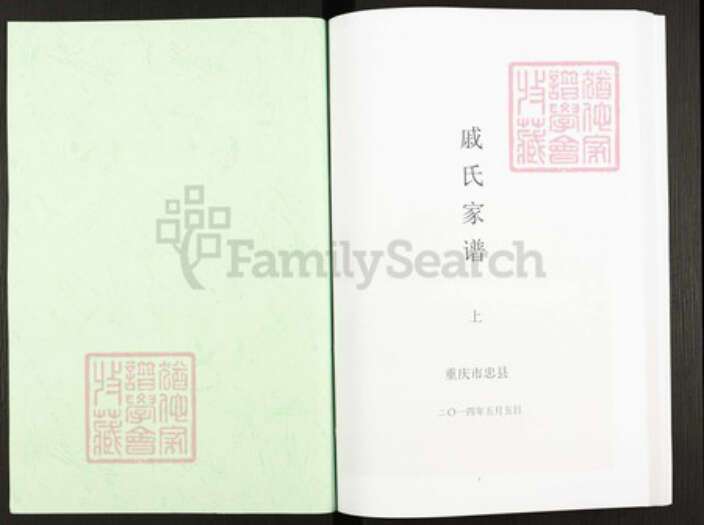 重庆市忠县戚氏族谱-戚氏家谱.pdf电子版预览图1