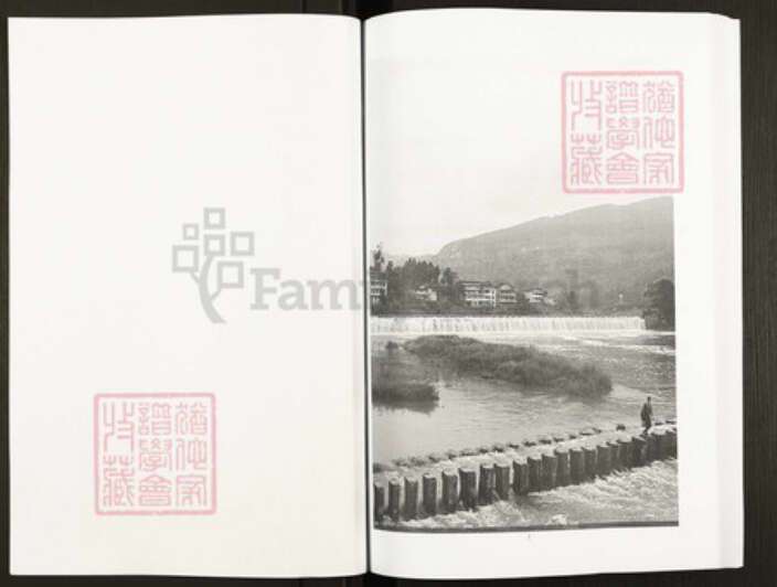 重庆市忠县戚氏族谱-戚氏家谱.pdf电子版预览图2