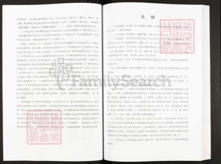 四川省绵阳市安县傅氏族谱-中华傅姓.pdf电子版预览图5