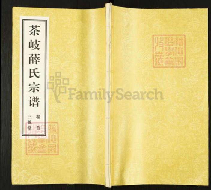 江苏省无锡市江阴市南闸街道薛氏三凤堂族谱-茶岐薛氏宗谱.pdf电子版缩略图