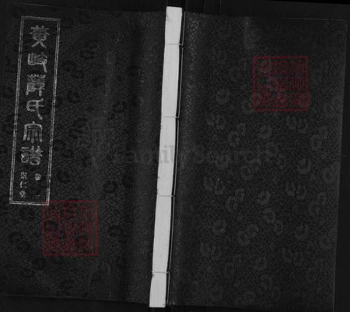 江苏省无锡市江阴市薛氏崇仁堂族谱-黄岐薛氏宗谱.pdf电子版缩略图