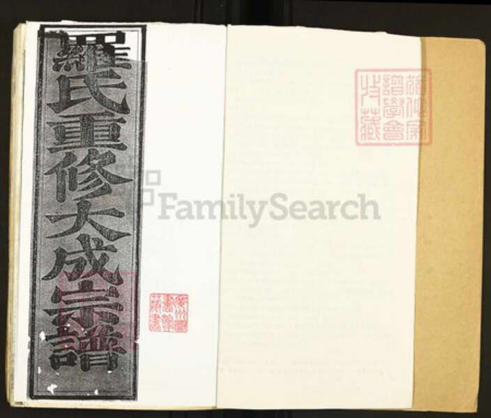 江西省南昌市罗氏北岸报本堂族谱-罗氏重修大成宗谱.pdf电子版预览图2