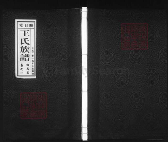 江苏省泰州市泰兴市高港王氏映日堂族谱-王氏族谱.pdf电子版缩略图