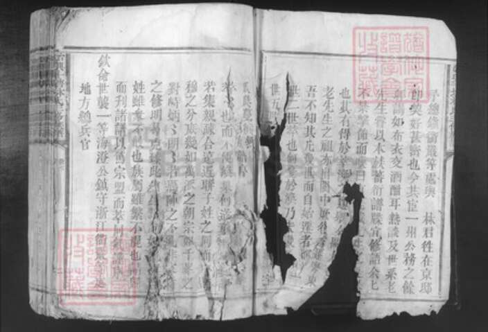 广东省韶关市始兴县顿岗镇林氏族谱-始兴斗塘林氏三修族谱.pdf电子版预览图2