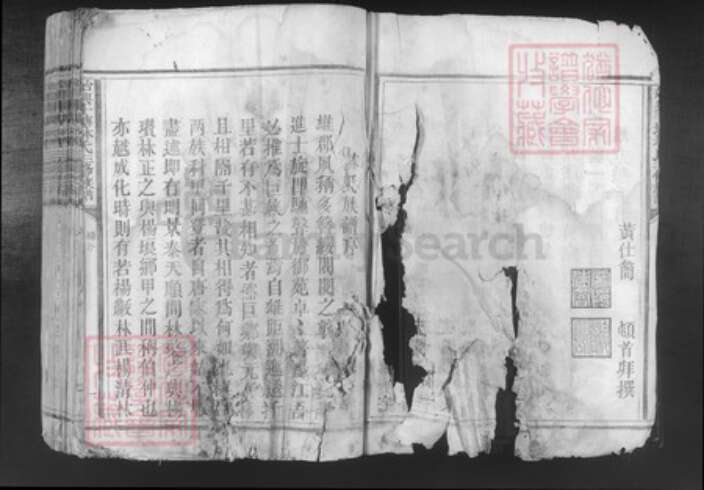 广东省韶关市始兴县顿岗镇林氏族谱-始兴斗塘林氏三修族谱.pdf电子版预览图3