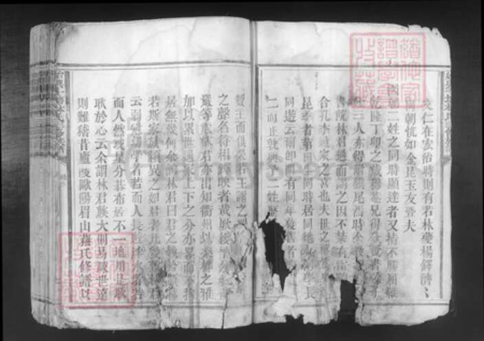 广东省韶关市始兴县顿岗镇林氏族谱-始兴斗塘林氏三修族谱.pdf电子版预览图4