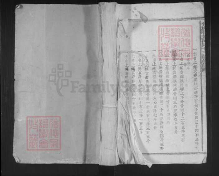 江西省赣州市石城县琴江镇温氏族谱-石城联芳温氏十三修族谱.pdf电子版缩略图